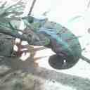 IMG0319A_Old1