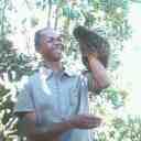 IMG0341A_Old1