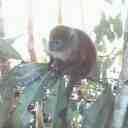 IMG0348A_Old1
