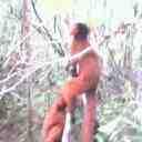 IMG0361A
